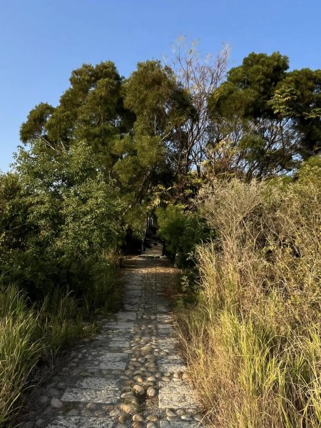 知高圳步道2711619