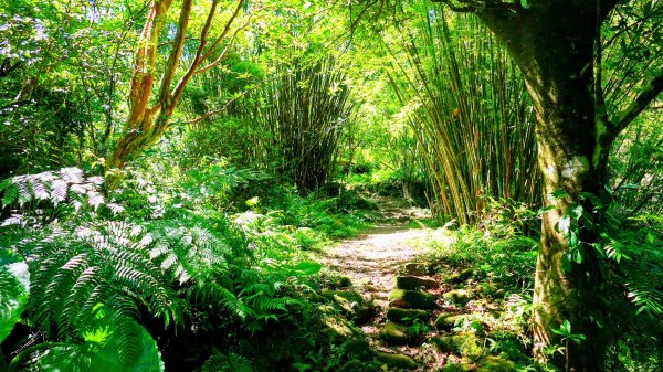 崩山坑越嶺內盤山2913769