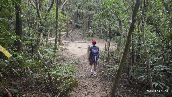 20251109 士林站到大湖站(福山宮_腰繞_燕溪古道_翠山步道_龍船岩_大溝溪)2932346