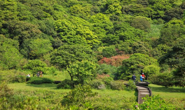 陽明山國家公園小放鬆916923