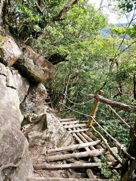 北得拉曼巨木步道-新竹縣尖石鄉2663504