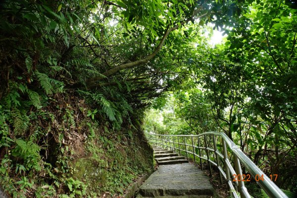 臺北 內湖 白鷺鷥山1680503