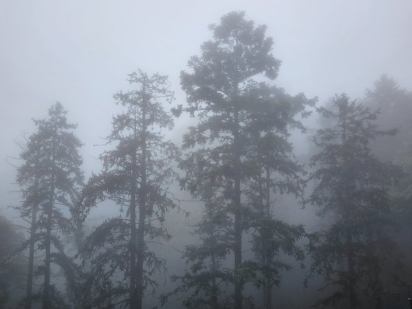 小百岳No.36⛰關刀山3050459