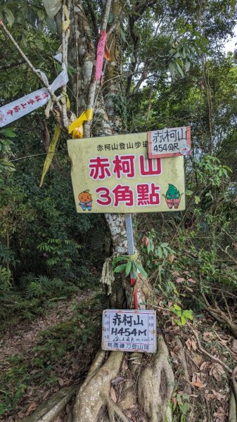 赤柯山 東獅頭山2501618