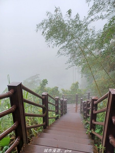 【雲林古坑】適合親子散散步。 華山小天梯情人橋1681768
