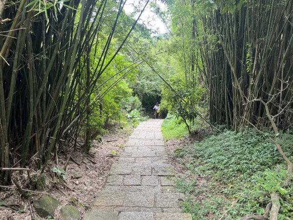 [跟著2025雙北世壯運探索雙北市-6/21] 2025_0614 文化排擊徑（文化大學－天母古道）2814410