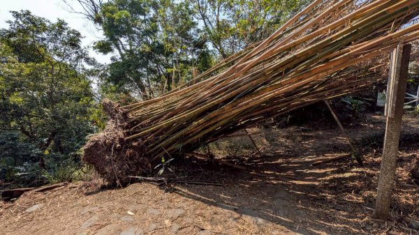 崁頭山步道3002459