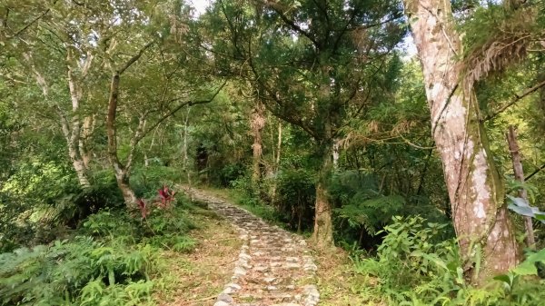 坪林區金瓜寮土地公-火炎山東峰-火炎山-火炎山南峰-金瓜寮土地公O型3138279