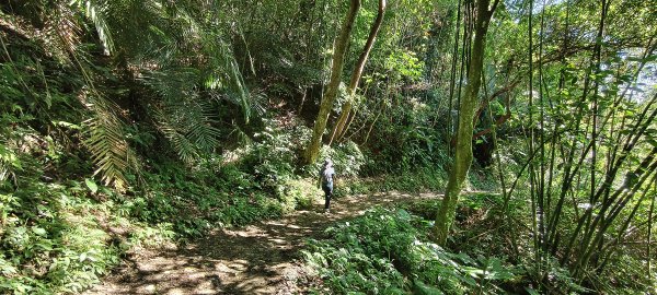 2025/06/28_馬胎+南坪古道2823757