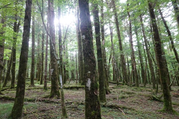 富士山御殿場線~海拔0至37762558990