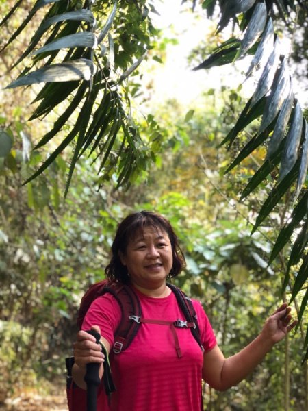 三腳南山、難山傻傻分不清楚1241012