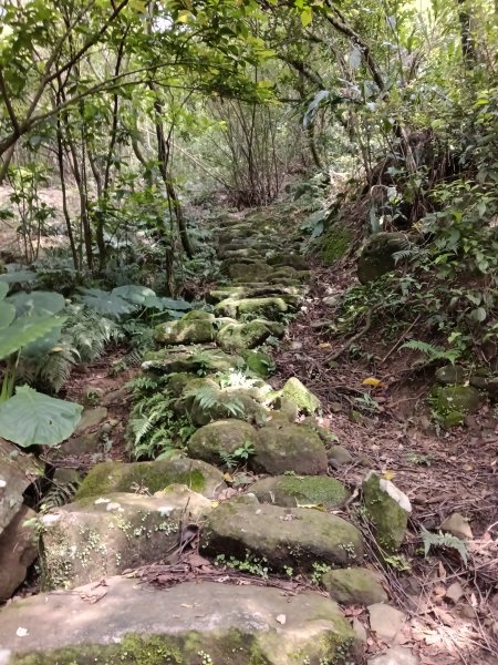 雙溪區三叉港+遠景古道+楊廷理古道+雞母嶺街O型2758662