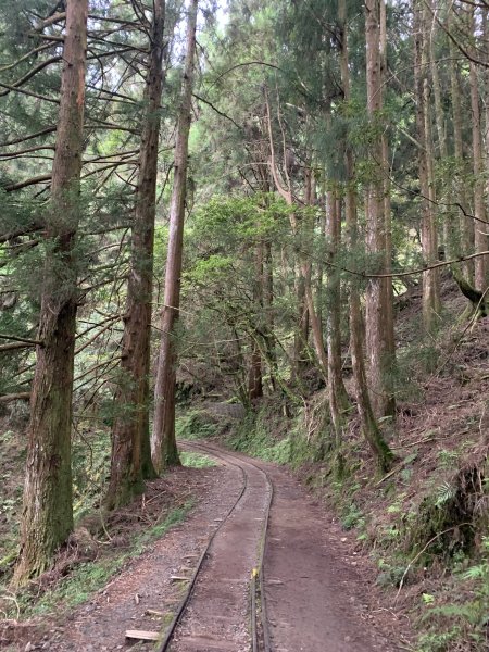 20250517義義兒玉山-東水山2791721