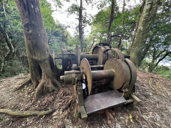加里山 大坪登山口 杜鵑嶺 加里山P形1900985