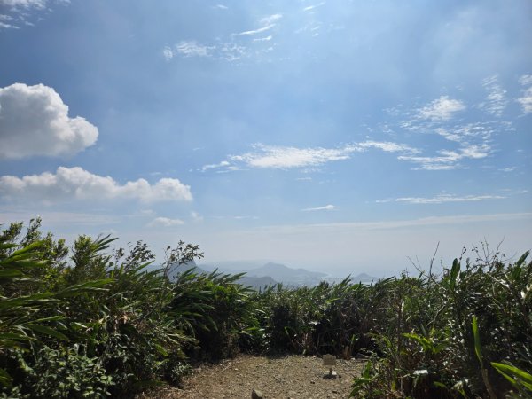 大山母山（小百岳）3007474