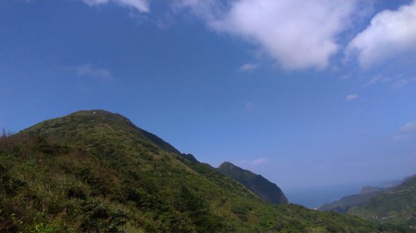 基隆山登山步道591986