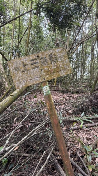 20250927小百岳鳳凰山2896384