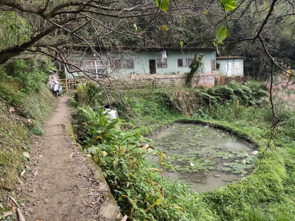 微笑山線：【二格山系】銀河洞越嶺段2959984