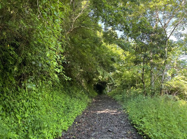 2025_0621 霞喀羅國家步道(養老端)2819860