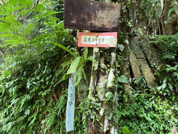 虎豹雙棲越野17K複習跑-part23072592