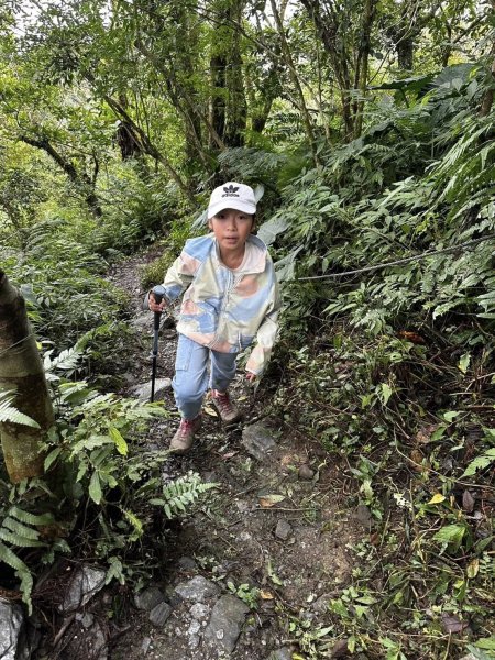 20260204小百岳初音山2994899