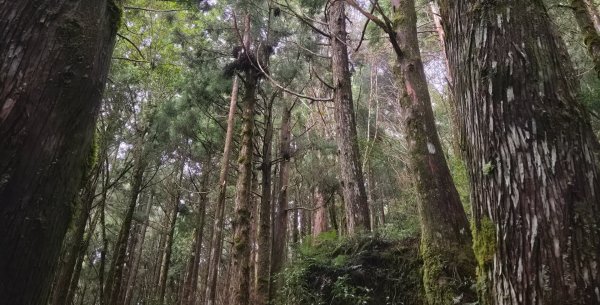【中級山】宜蘭小百岳，三星山3131433