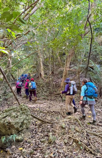 恆春縱走:鎮南宮-赤牛嶺-大山母山(小百岳#81)-南灣出 走讀恆春古城2964432