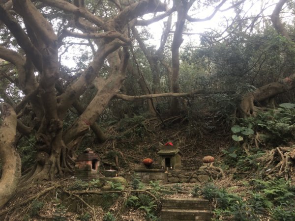 水牛城、百年土地公2036482