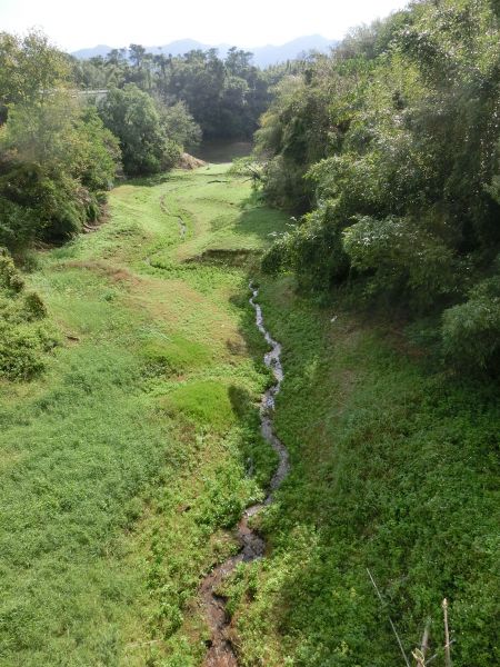 明德水庫湖濱步道228983