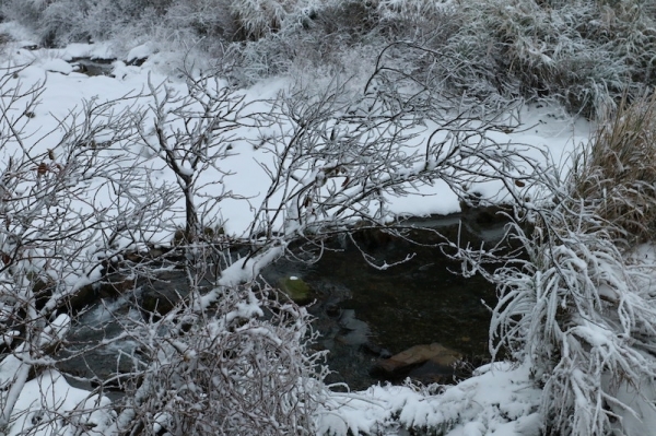 思源埡口-雪の国263896