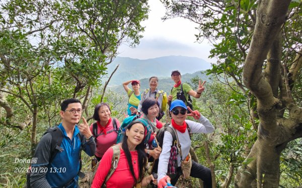 東勢大崙、東勢坑山、觀音湖山O走2986242