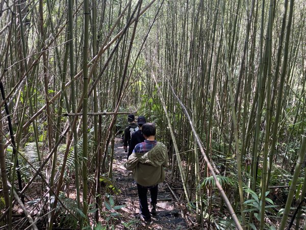 2025微笑山線大縱走尋寶集章任務-Ep.04【天上山系】望月亭桐花段｜石門內尖山東峰 ×石門內尖山2979168