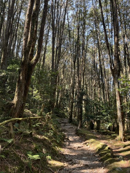 小百岳-稍來山2752444