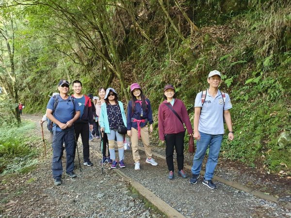 【阿里山】特富野古道1093699