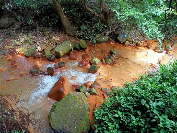 2-2 紗帽路旁磺溪祕境→白雲瀑布→陽明山前山公園→陽明醫院舊址1825883