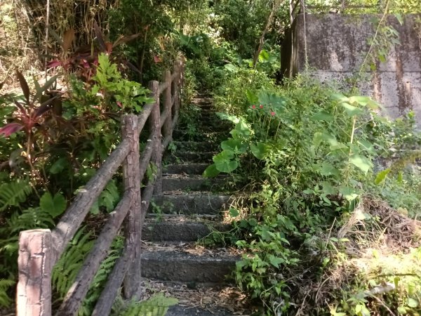 基隆市金交椅山+金交椅南峰+紅淡山東北峰、北北峰、北峰+紅淡山+厲翼嶺出三坑車站2903183