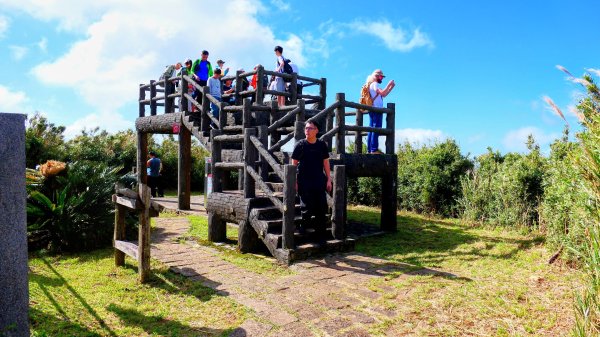 向天蝦不蝦2936823