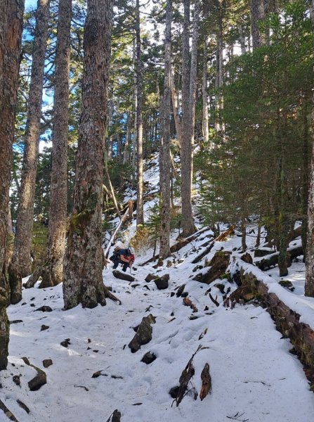 雪山下翠池2421109