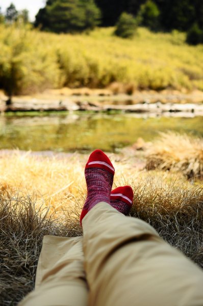 武法奈尾山天巒池872534