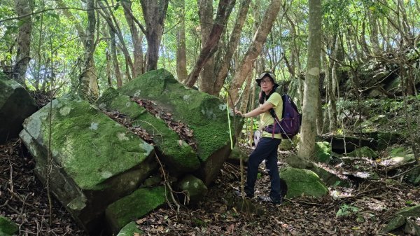 大混李棟山2816359