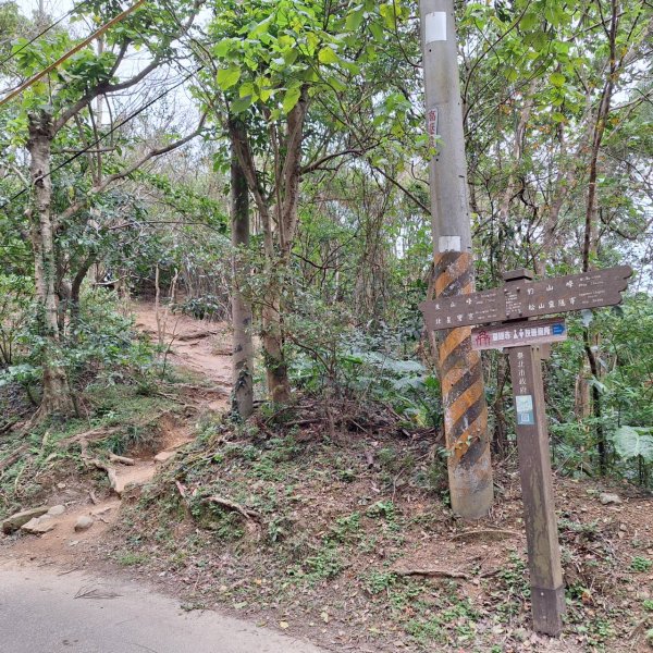 【貓貓自創路線】四獸山+南港山+九五峰+永春坡公園完成!2705847