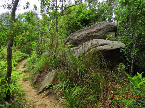 臺北 內湖 龍船岩、開眼山924807