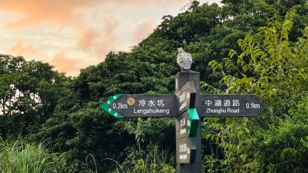 1100726冷水坑-擎天崗環形步道1430607