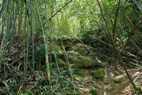 臺北 南港 南港山、拇指山、象、獅、豹、虎、四分里山、茅草埔山2803470