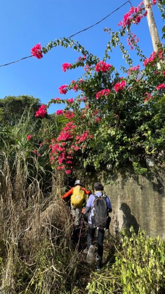 深坑越嶺南港拇指山2377644