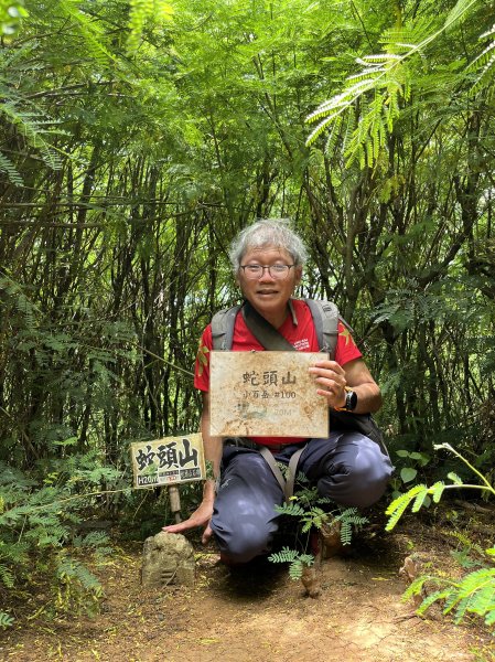 [山頂鳥40周年會員大縱走-03/15] 2024_0629 蛇頭山步道2539367