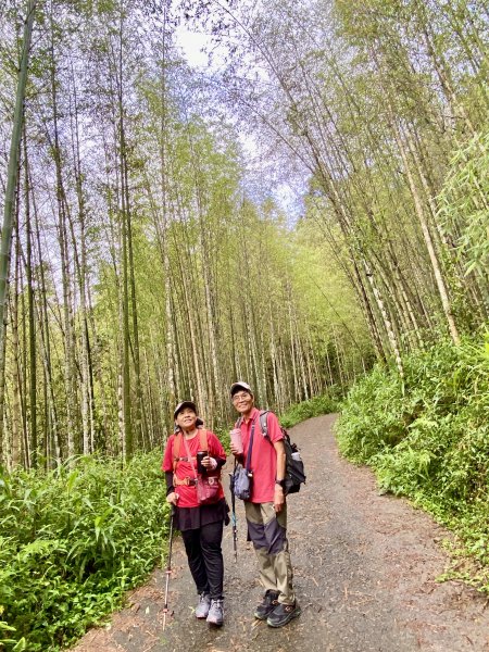 溪頭山、竹崙山、志騰山三山O型順撿內湖山  2024/5/312517730