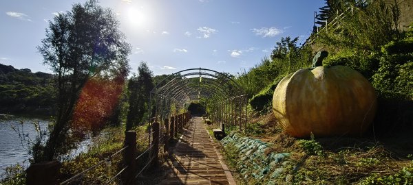 2025/11/15-龍昇湖環湖步道2939296