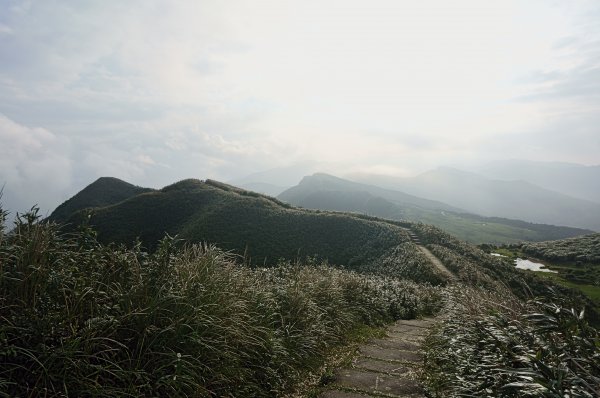灣坑頭山 桃源谷步道 連走2034856