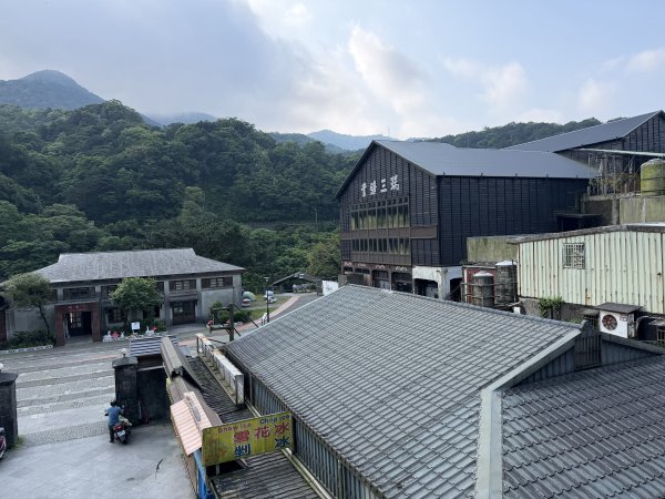 2026_0412 鐘萼木賞花 - 淡蘭國寶樹3035266